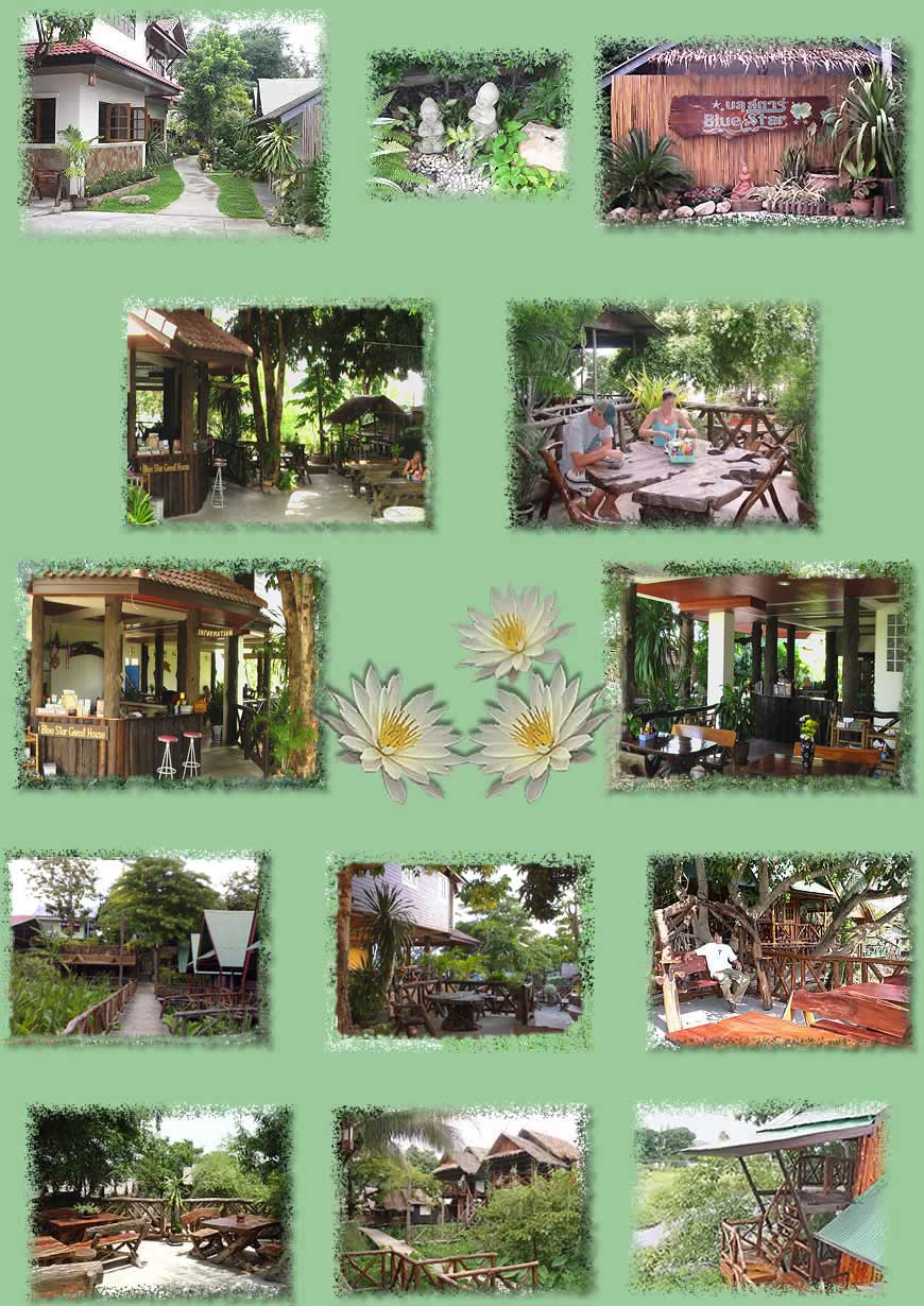 Garden views